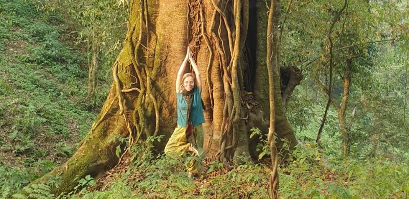 A person practicing yoga in front of a tree, symbolizing harmony between body, mind, and nature.