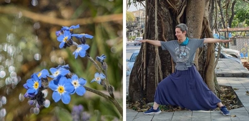 An image of blue flowers in nature, symbolizing beauty and serenity, alongside a picture of a woman practicing yoga and moving in an urban setting. This image conveys a sense of vitality and balance.