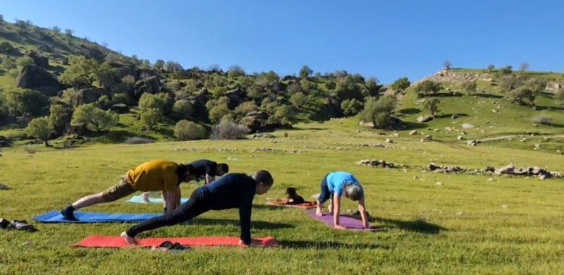 A group of people practicing the Sun Salutation sequence on yoga mats outdoors under a clear blue sky.