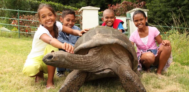 The 191-year-old Seychelles giant tortoise, Jonathan, interacting with a group of children in a natural setting.