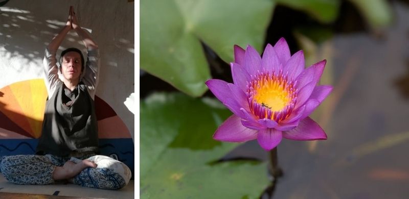 An image of a woman practicing yoga in a peaceful and natural setting, with her hands raised in a focused and calm posture. On the right, a blue lotus flower symbolizes serenity and beauty.