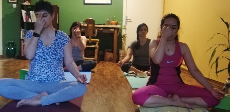 A group practicing Nadi Shodhana (alternate nostril breathing), a technique that helps harmonize the mind and body.